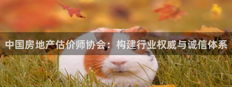 新宝5网址：中国房地产估价师协会：构建行业权威与诚信体系
