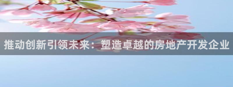 新5宝：推动创新引领未来：塑造卓越的房地产开发企业