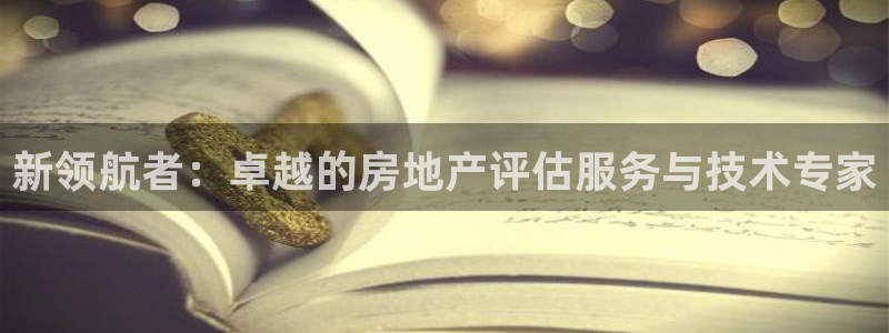 新宝5可靠吗：新领航者：卓越的房地产评估服务与技术专家