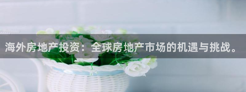 5新宝：海外房地产投资：全球房地产市场的机遇与挑战。