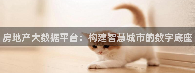 新宝5软件下载：房地产大数据平台：构建智慧城市的数字底座
