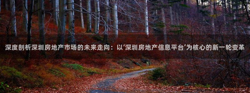 新宝5现在还能玩吗：深度剖析深圳房地产市场的未来走向：以‘深
