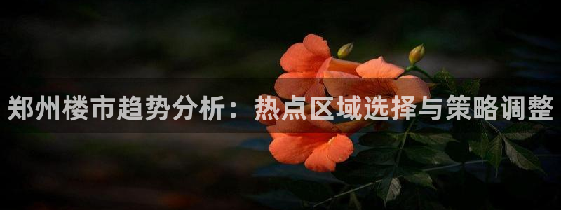 新宝5下载 迅雷下载：郑州楼市趋势分析：热点区域选择与策略调