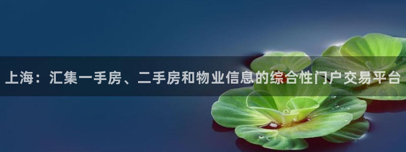 新5宝：上海：汇集一手房、二手房和物业信息的综合性门户交易平