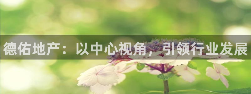 新宝5娱乐登录：德佑地产：以中心视角，引领行业发展