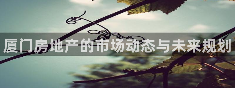 新宝5得74OOO5：厦门房地产的市场动态与未来规划