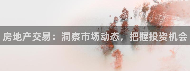新宝5手机下载：房地产交易：洞察市场动态，把握投资机会