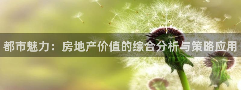 新宝5娱乐网址：都市魅力：房地产价值的综合分析与策略应用
