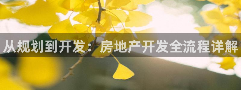 新宝5总代：从规划到开发：房地产开发全流程详解