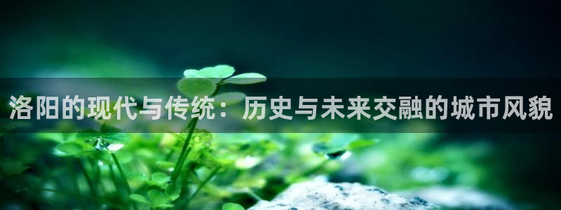 新宝5吴74OOO5：洛阳的现代与传统：历史与未来交融的城市
