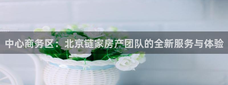新宝5开户：中心商务区：北京链家房产团队的全新服务与体验