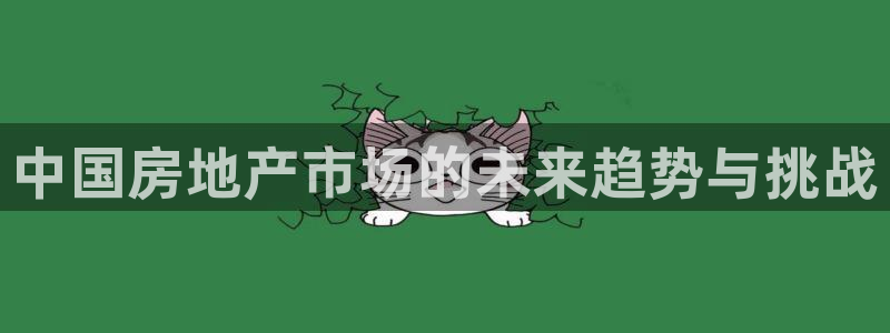 新宝5 代理：中国房地产市场的未来趋势与挑战
