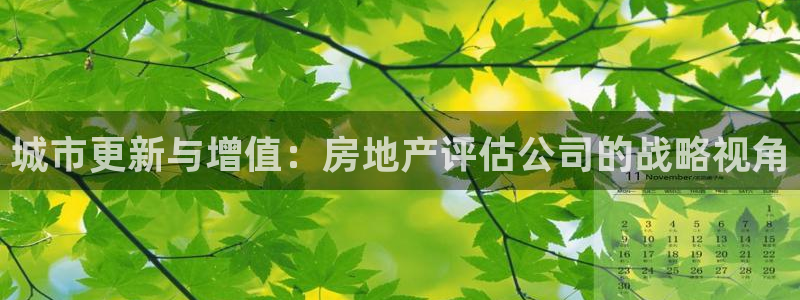 新宝5下载官方：城市更新与增值：房地产评估公司的战略视角
