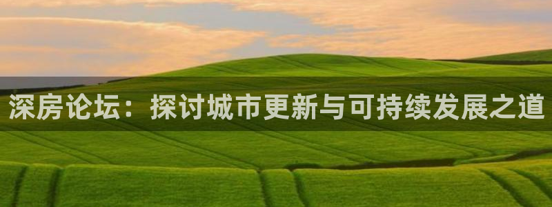 新宝5后：深房论坛：探讨城市更新与可持续发展之道