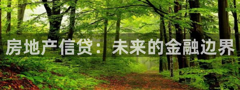 新宝5娱乐代理：房地产信贷：未来的金融边界