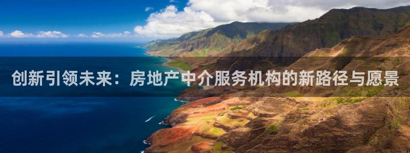 新宝5挂机软件：创新引领未来：房地产中介服务机构的新路径与愿