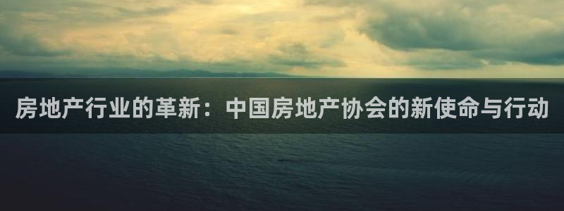 新宝5如何注册：房地产行业的革新：中国房地产协会的新使命与行