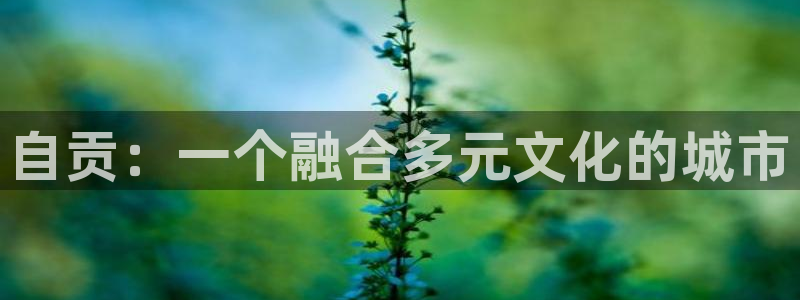 新宝5可靠吗：自贡：一个融合多元文化的城市