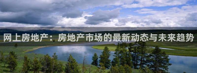 新宝5唯一：网上房地产：房地产市场的最新动态与未来趋势
