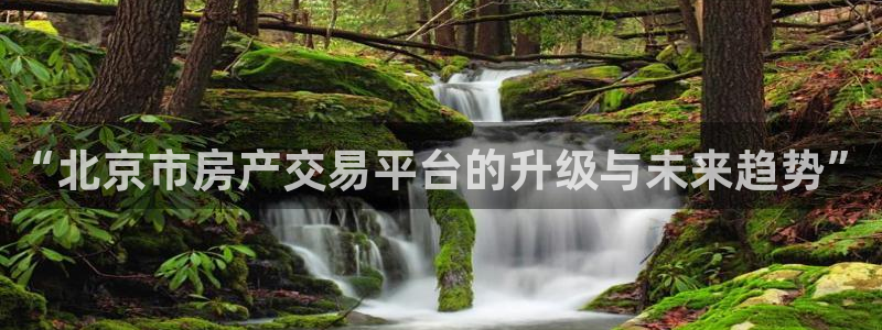 新宝5电脑：“北京市房产交易平台的升级与未来趋势”