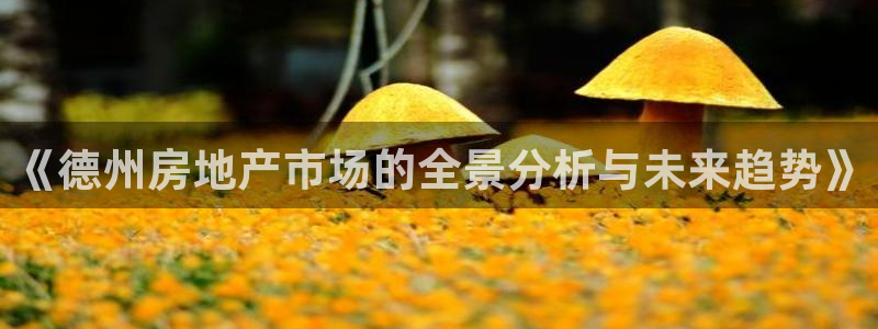 新宝5找找74OOO5：《德州房地产市场的全景分析与未来趋势