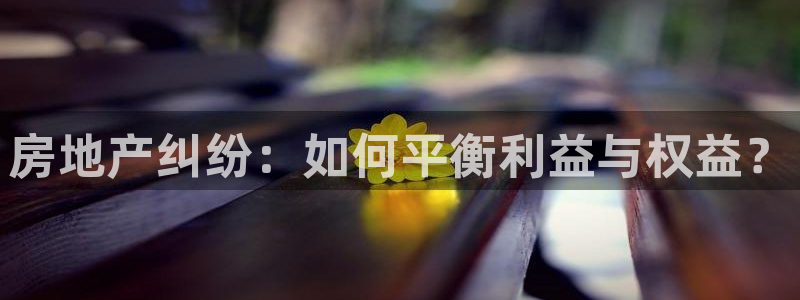 新宝5平台注册资金：房地产纠纷：如何平衡利益与权益？