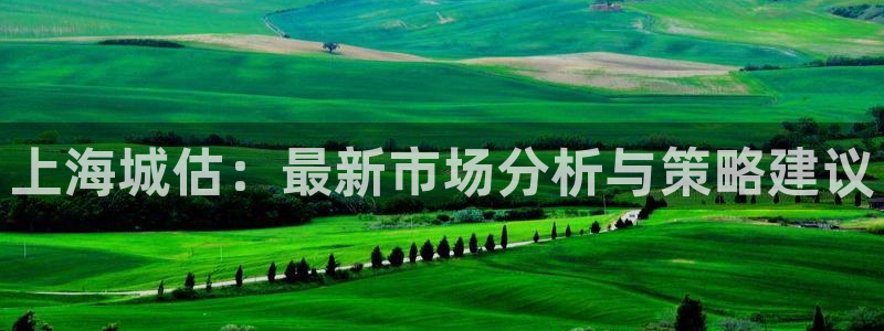 新宝5娱乐都：上海城估：最新市场分析与策略建议