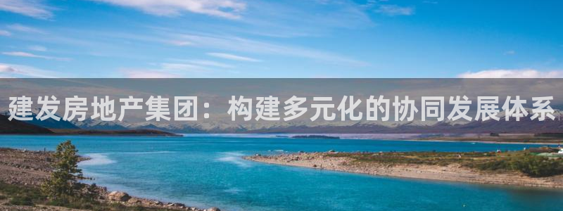 新宝注5册：建发房地产集团：构建多元化的协同发展体系