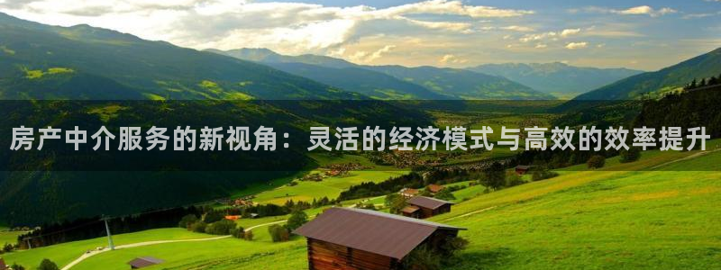 新宝5娱乐经：房产中介服务的新视角：灵活的经济模式与高效的效