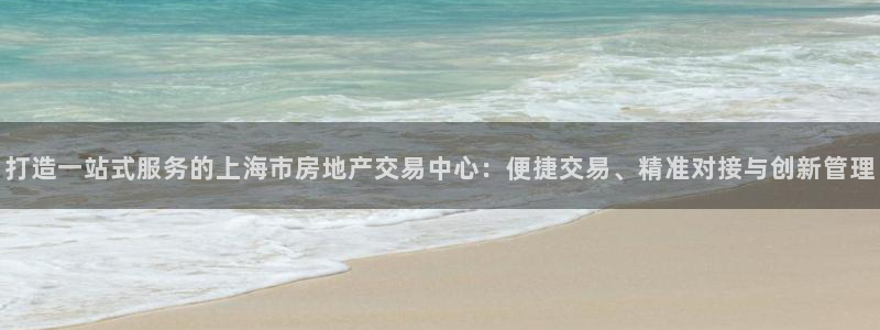 新宝5线路登录检测：打造一站式服务的上海市房地产交易中心：便