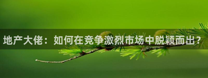 新宝5娱乐：地产大佬：如何在竞争激烈市场中脱颖而出？