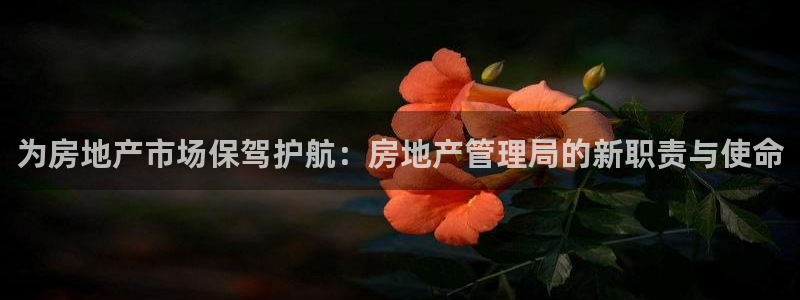 新宝5线路登录检测：为房地产市场保驾护航：房地产管理局的新职