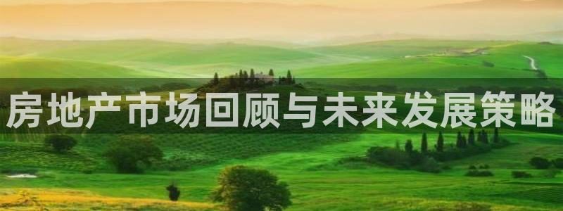新宝5飞355051：房地产市场回顾与未来发展策略