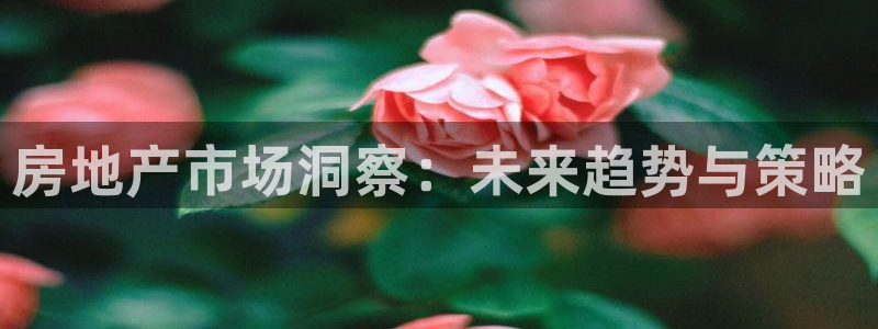 新宝5吴74OOO5：房地产市场洞察：未来趋势与策略
