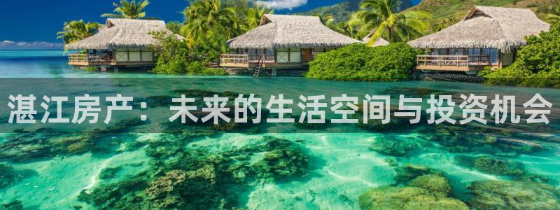新宝5直属：湛江房产：未来的生活空间与投资机会