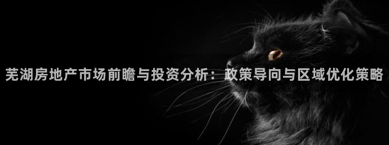 新宝5d：芜湖房地产市场前瞻与投资分析：政策导向与区域优化策