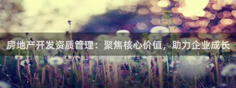 新宝5吴74OOO5：房地产开发资质管理：聚焦核心价值，助力
