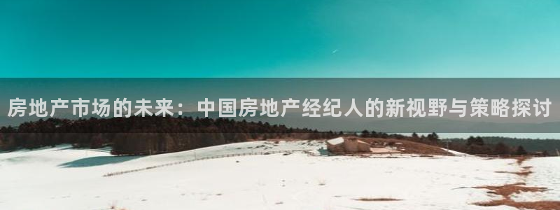 新宝5注册：房地产市场的未来：中国房地产经纪人的新视野与策略