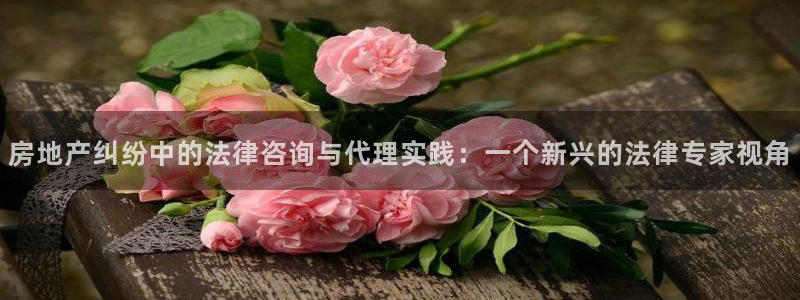 新宝5为啥开：房地产纠纷中的法律咨询与代理实践：一个新兴的法