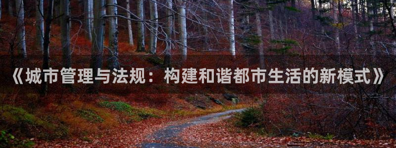 新宝5平台咋样：《城市管理与法规：构建和谐都市生活的新模式》