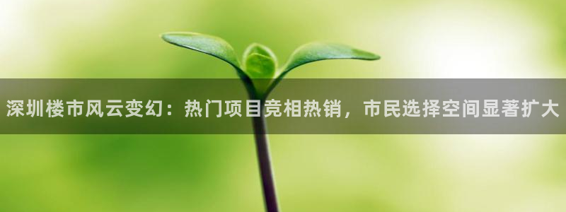 新宝堂新会陈皮5年：深圳楼市风云变幻：热门项目竞相热销，市民