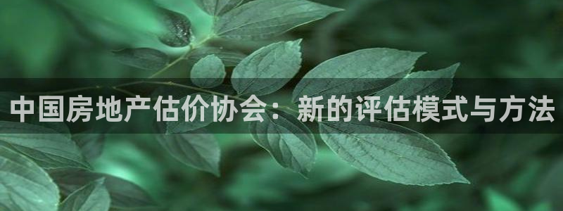 新宝5测登录：中国房地产估价协会：新的评估模式与方法