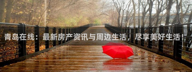 新宝5户端：青岛在线：最新房产资讯与周边生活，尽享美好生活！