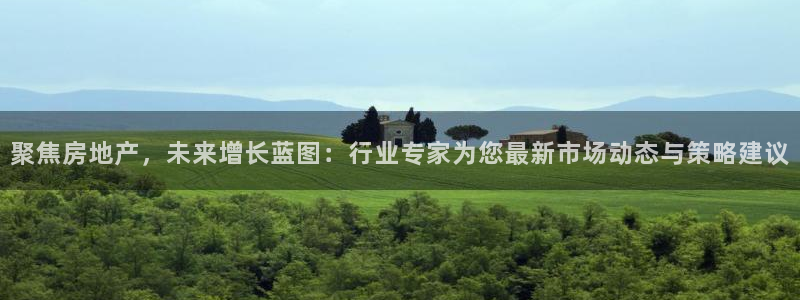 新宝新5：聚焦房地产，未来增长蓝图：行业专家为您最新市场动态