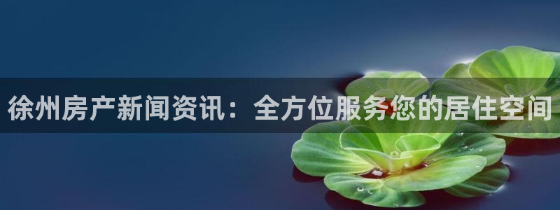 新宝5链接：徐州房产新闻资讯：全方位服务您的居住空间