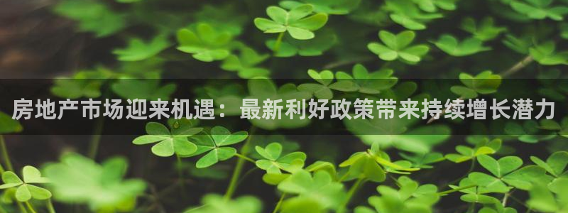 新宝5客户端登录：房地产市场迎来机遇：最新利好政策带来持续增