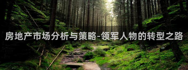 新宝5测：房地产市场分析与策略-领军人物的转型之路