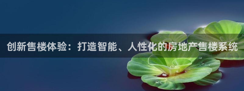 新宝rm5：创新售楼体验：打造智能、人性化的房地产售楼系统