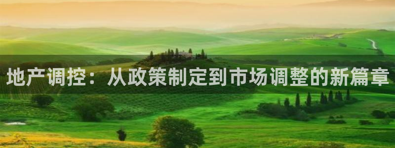 新宝5郑74OOO5：地产调控：从政策制定到市场调整的新篇章