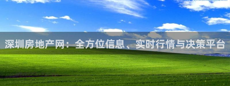 新宝5代理注册：深圳房地产网：全方位信息、实时行情与决策平台